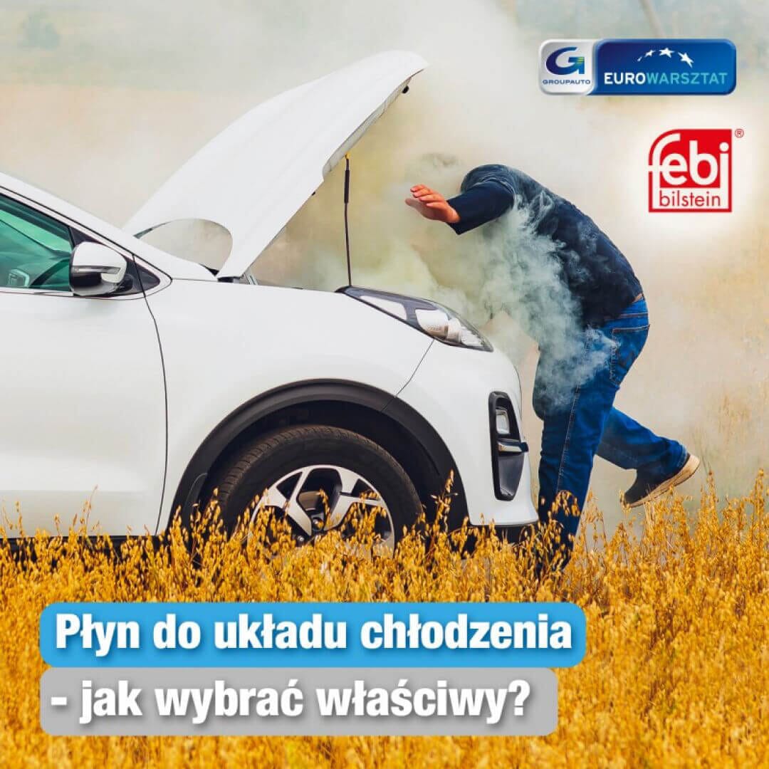 Jak wybrać właściwy płyn do chłodnicy?