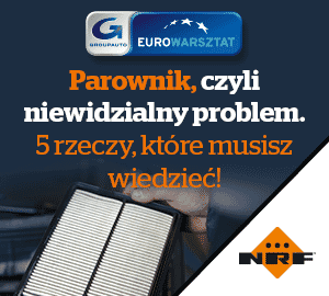 Parownik, czyli niewidzialny problem. 5 rzeczy, które musisz wiedzieć!